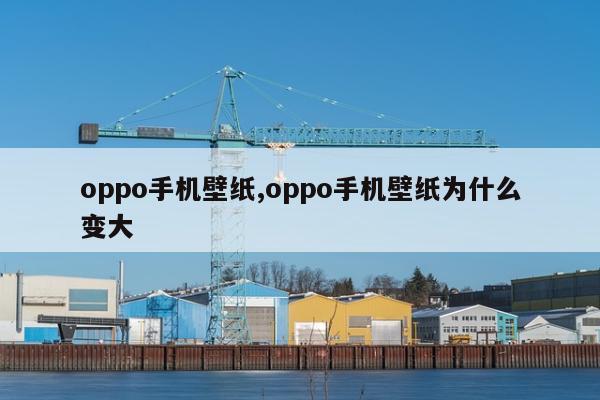 oppo手机壁纸,oppo手机壁纸为什么变大