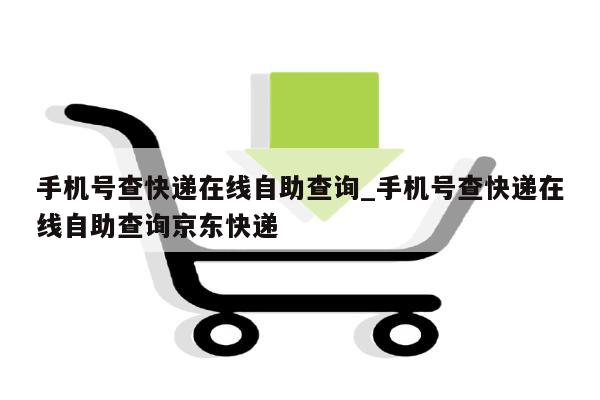 手机号查快递在线自助查询_手机号查快递在线自助查询京东快递