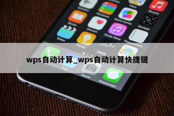 wps自动计算_wps自动计算快捷键