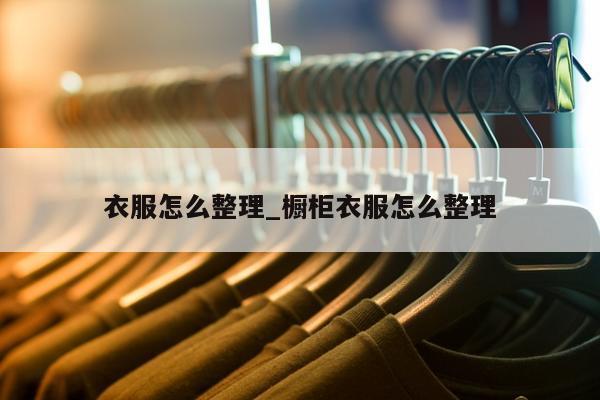 衣服怎么整理_橱柜衣服怎么整理