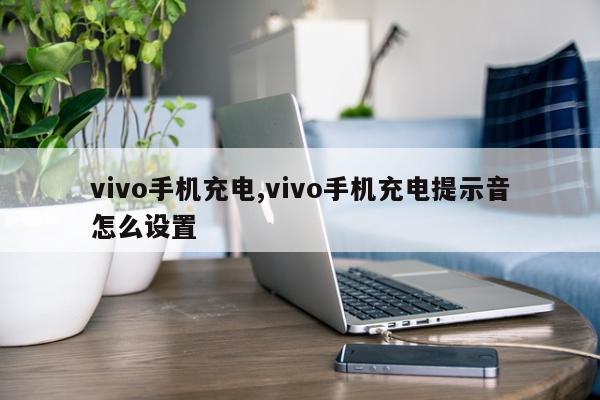 vivo手机充电,vivo手机充电提示音怎么设置