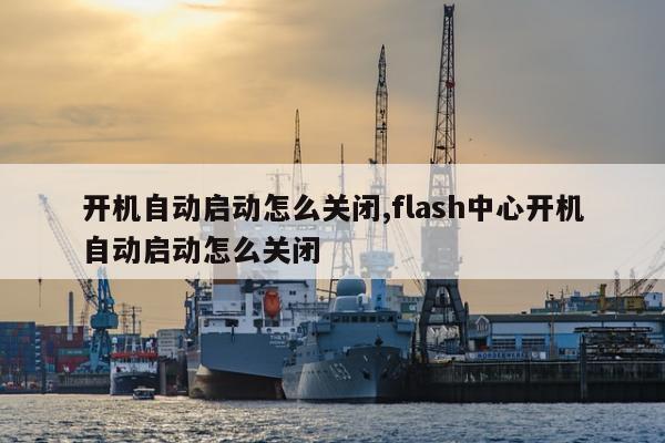 开机自动启动怎么关闭,flash中心开机自动启动怎么关闭