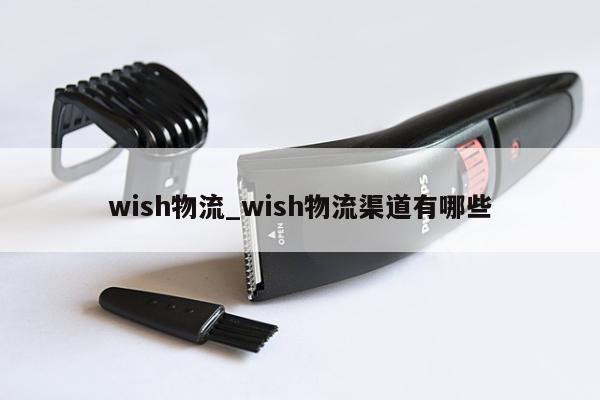 wish物流_wish物流渠道有哪些