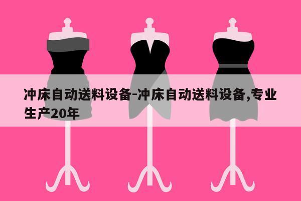 冲床自动送料设备-冲床自动送料设备,专业生产20年