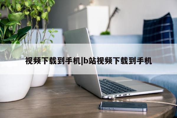 视频下载到手机|b站视频下载到手机