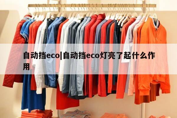 自动挡eco|自动挡eco灯亮了起什么作用