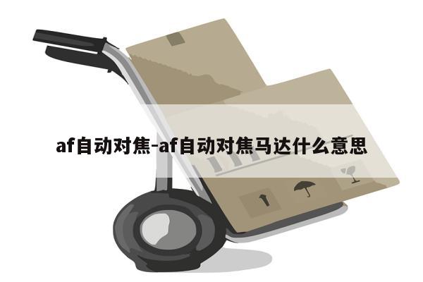 af自动对焦-af自动对焦马达什么意思