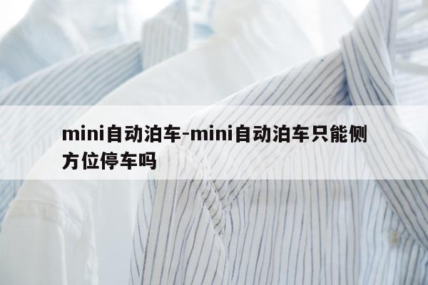 mini自动泊车-mini自动泊车只能侧方位停车吗