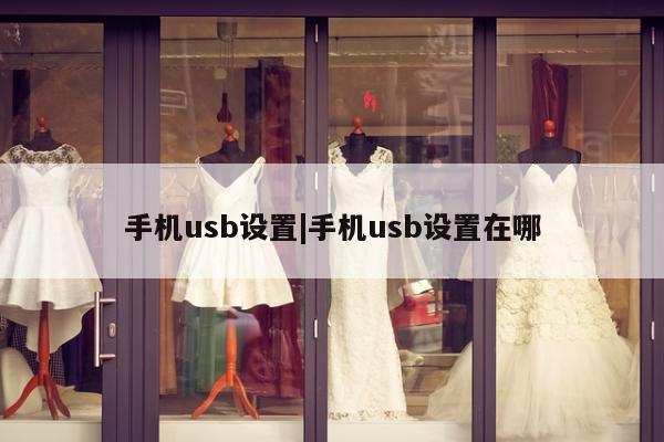 手机usb设置|手机usb设置在哪