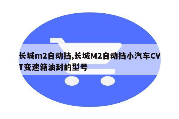 长城m2自动挡,长城M2自动挡小汽车CVT变速箱油封的型号