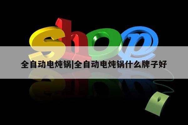 全自动电炖锅|全自动电炖锅什么牌子好