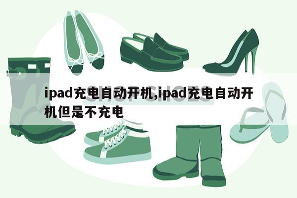 ipad充电自动开机,ipad充电自动开机但是不充电